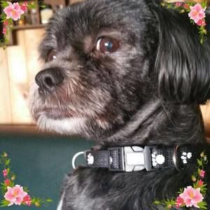 Meet your Posher, Heidrun